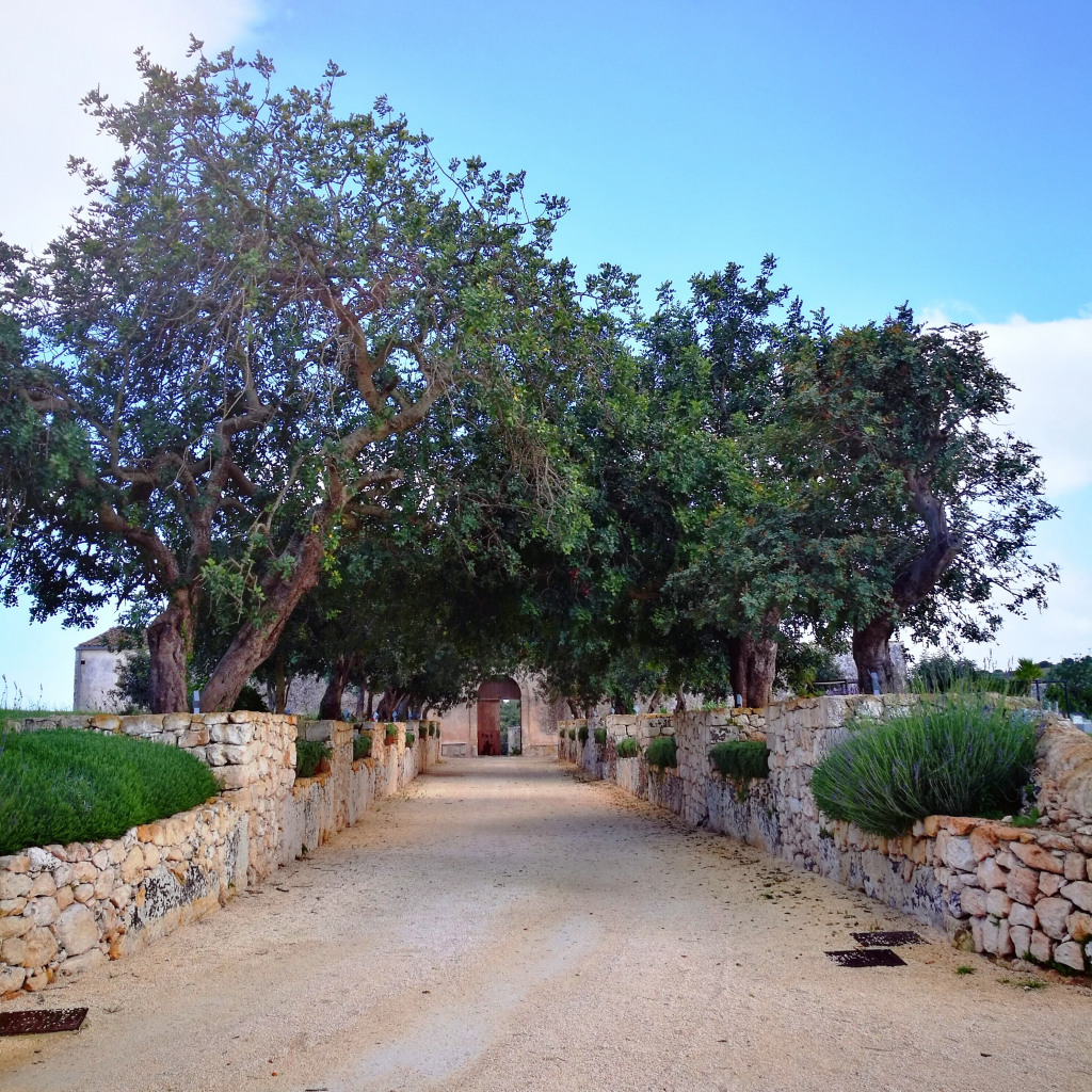 marry me in sicily noto location matrimonio chiara ferragni sicilia