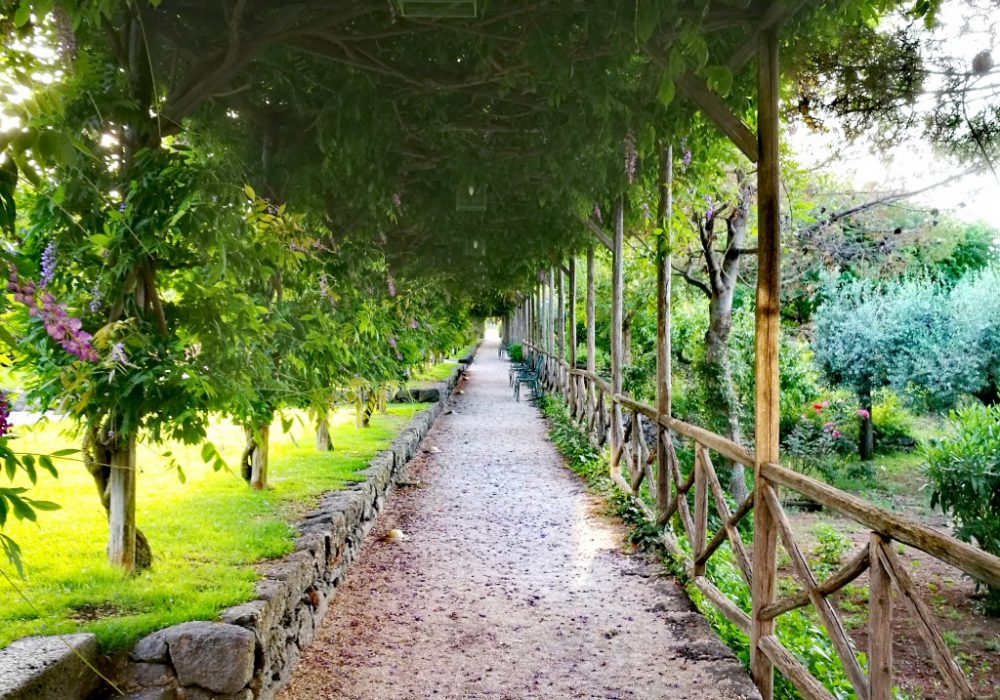 marry me in sicily meraviglioso giardino per il tuo matrimonio in sicilia